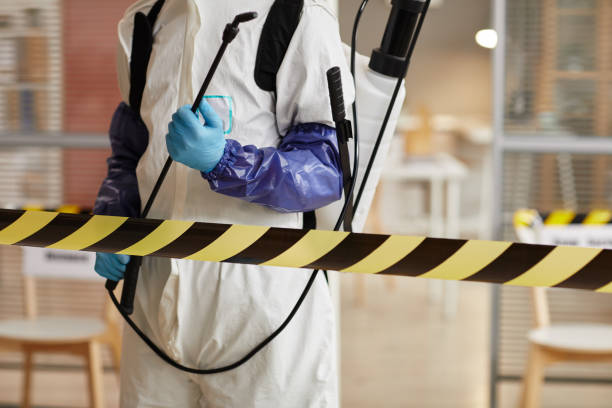 Professional Sewage Cleanup technician working in Brewster, OH